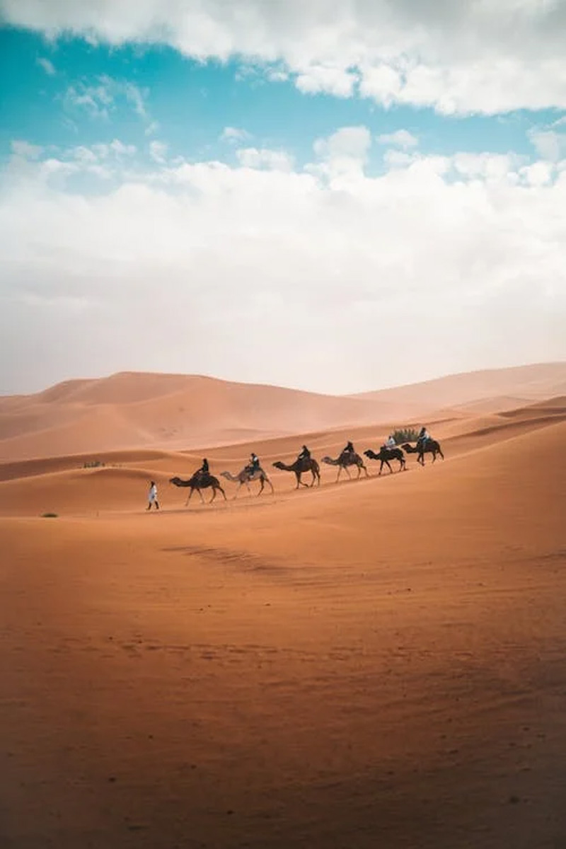 4-Day Desert Tour from Marrakech to Fes
