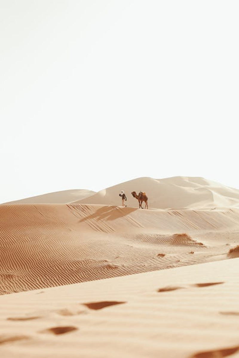 Private 3-Day Sahara Desert Tour from Marrakech to Fes