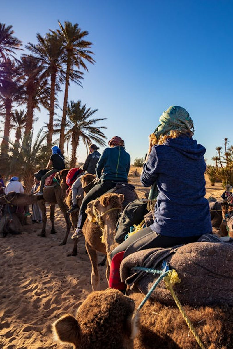 6-Day Fes to Marrakech to Merzouga Desert