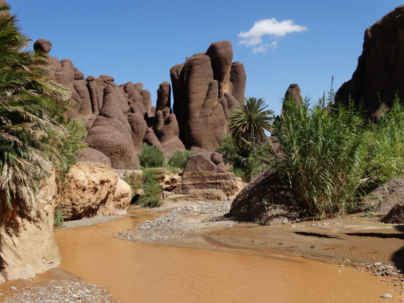 10-Day Desert Tour from Agadir