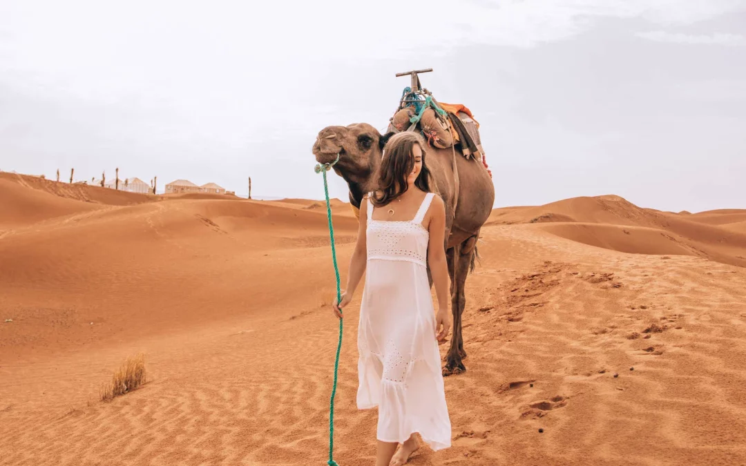 8 Days Morocco Desert Tour From Fes to Marrakech