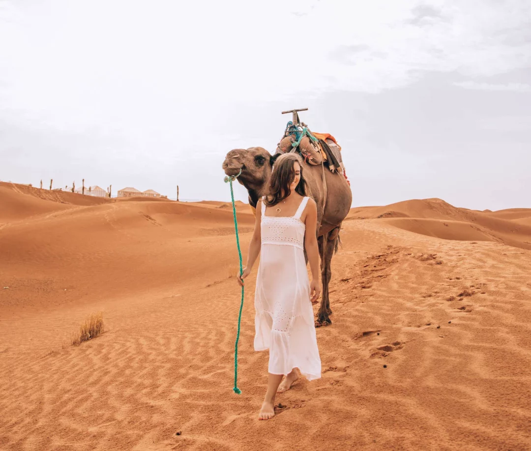 8 Days Morocco Desert Tour From Fes to Marrakech