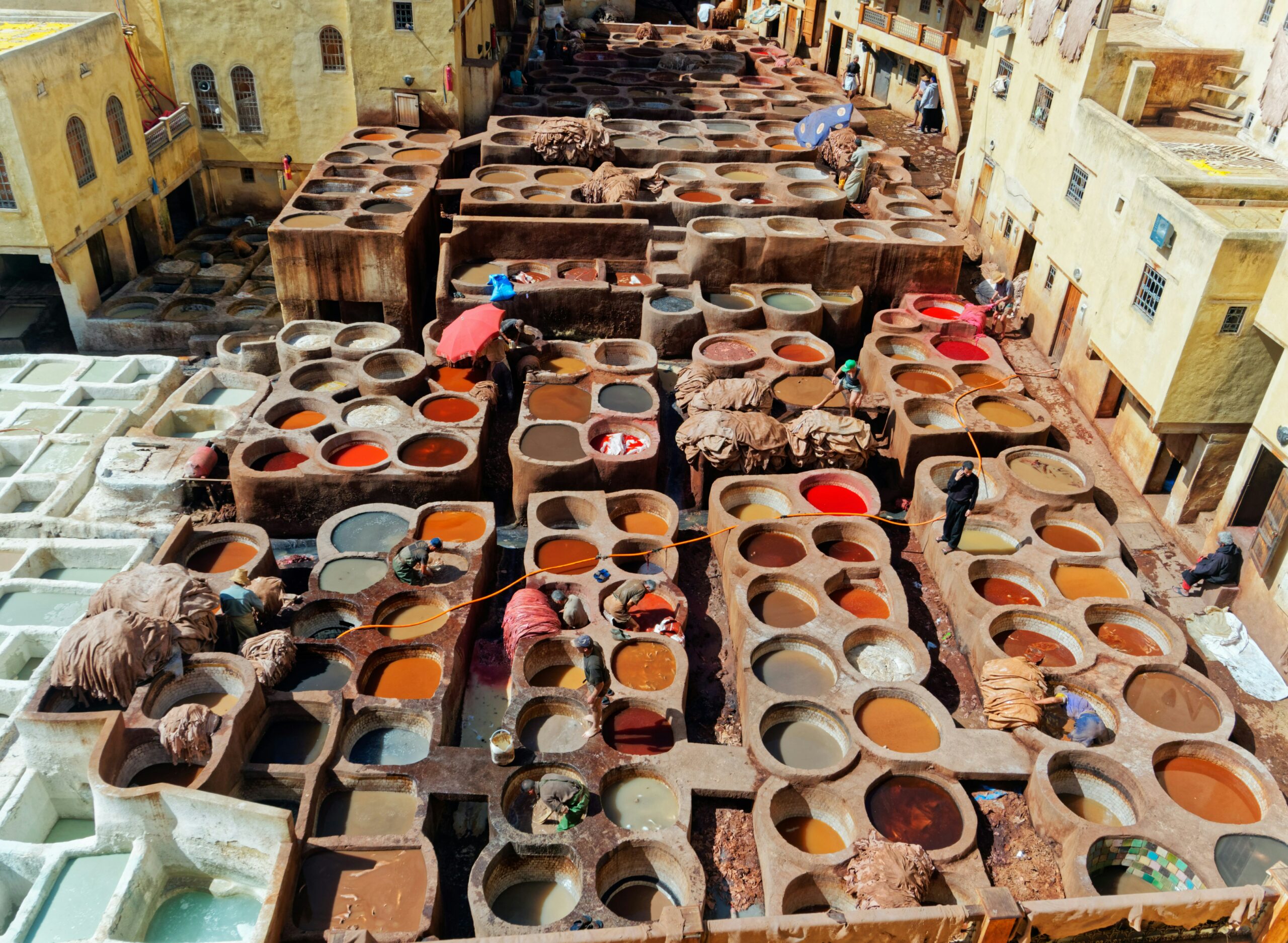 Authentic leather tanning process at the historic Chouara Tannery in Fes Morocco.
