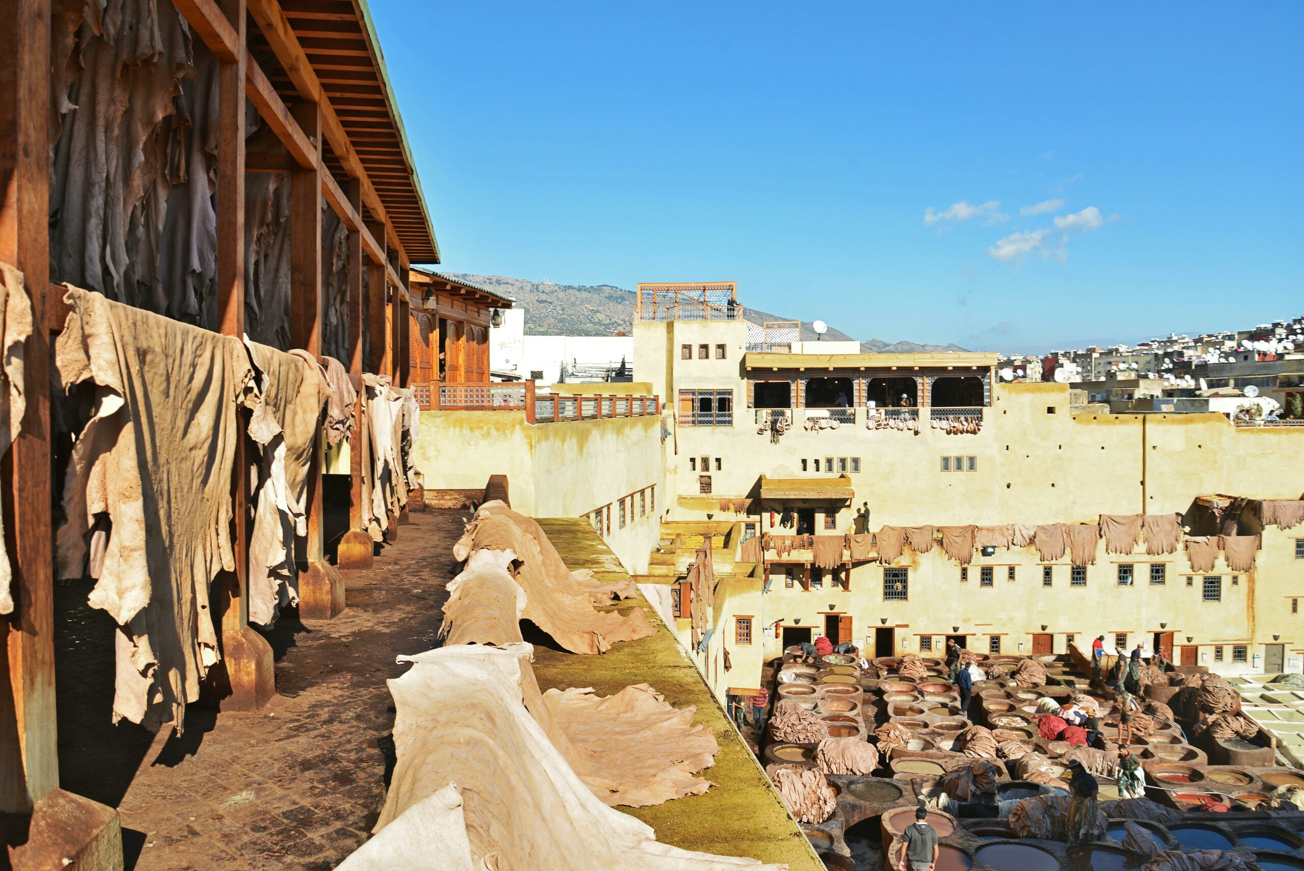 Authentic leather tanning process at the historic Chouara Tannery in Fes Morocco.1